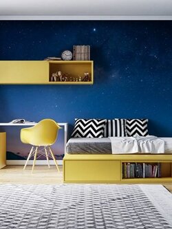 วอลเปเปอร์สั่งพิมพ์ลายอวกาศ PLA-2