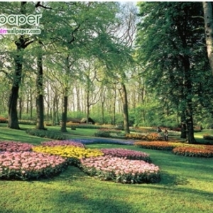 ภาพวิวสวนดอกไม้สีชมพู