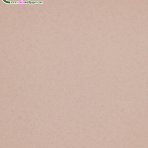 วอลเปเปอร์ติดผนังสีชมพู