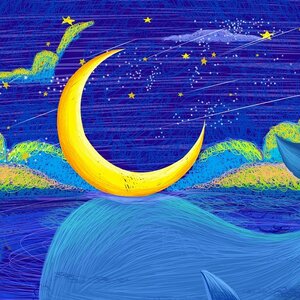 วอลเปเปอร์ห้องเด็กสั่งผลิต No.KID-14