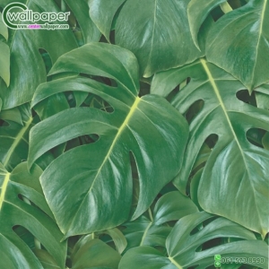 วอลเปเปอร์ติดผนังลายใบไม้สีเขียว