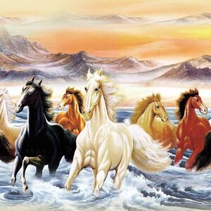 วอลเปเปอร์สั่งพิมพ์ลายม้ามงคล JHC-13