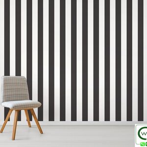 ลายทาง สีดำ สีขาว