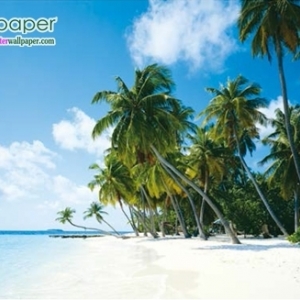 ภาพวิวทะเลภาพหาดมะพร้าว