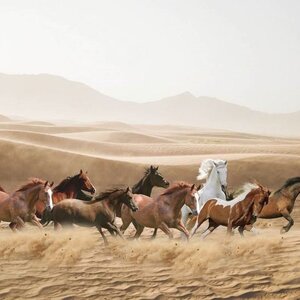 วอลเปเปอร์สั่งพิมพ์ลายม้ามงคล JHC-3