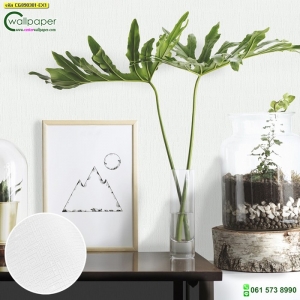 วอลเปเปอร์ติดผนัง มินิมอล ลายเรียบสีขาว