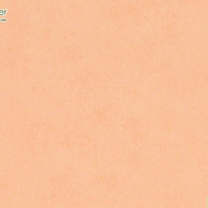 วอลเปเปอร์ติดผนังสีส้ม