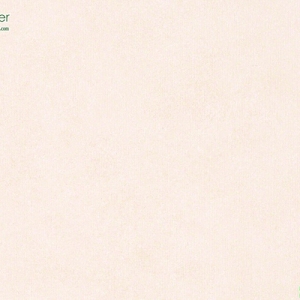 วอลเปเปอร์ติดผนังสีส้มอ่อน