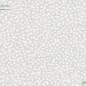 วอลเปเปอร์ลายปูนขัดมัน