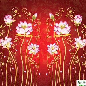 วอลเปเปอร์สั่งพิมพ์ภาพดอกบัว