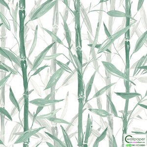 วอลเปเปอร์ลายไม้ไผ่ สีเขียว