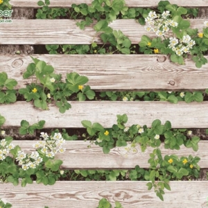 Wallpaper ลายไม้รั้วไม้สีขาว