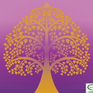 วอลเปเปอร์ลายต้นโพธิ์ THAI-637