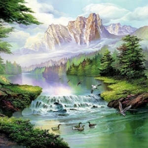 ภาพวิวธรรมชาติภาพภูเขาน้ำตก,นก