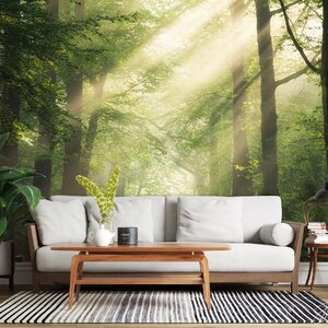 วิวธรรมชาติ