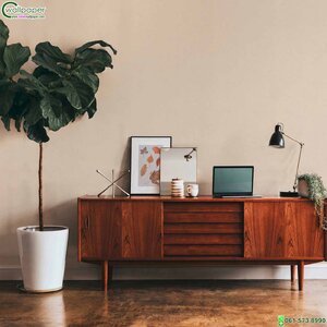 วอลเปเปอร์ลายปูนเปลือยสีครีม