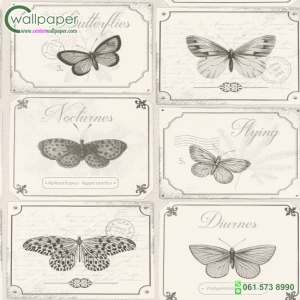 วอลเปเปอร์วินเทจ อาร์ต ลายผีเสื้อ