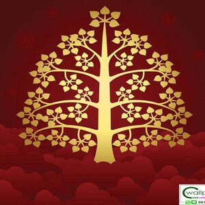 วอลเปเปอร์ลายต้นโพธิ์ THAI-251