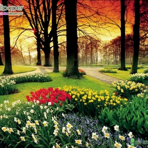 ภาพวิวภาพสวนดอกไม้ตอนเย็น