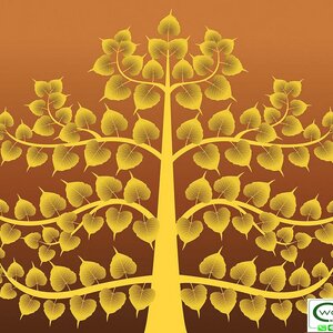 วอลเปเปอร์ลายต้นโพธิ์ THAI-627