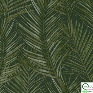 วอลเปเปอร์ลายใบไม้สีเขียวเข้ม สไตล์ทรอปิคอล