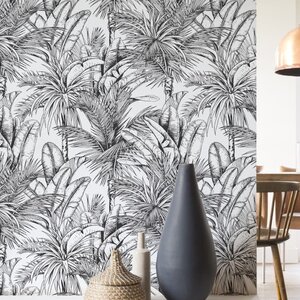 ใบปาล์ม ต้นปาล์ม