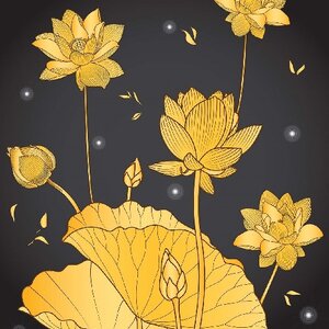 วอลเปเปอร์สั่งพิมพ์ภาพดอกบัว