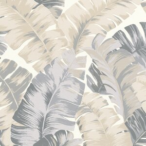 วอลเปเปอร์ติดผนังลายใบกล้วยTropical