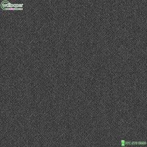 วอลเปเปอร์สีดำ