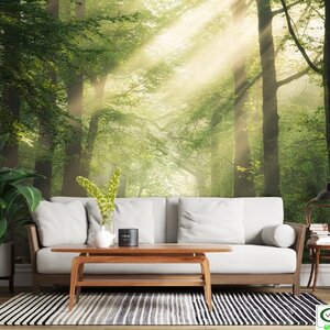 วอลเปเปอร์สั่งผลิตภภาพวิวธรรมชาติ FRE-A-3