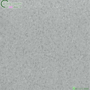 วอลเปเปอร์ลายปูนขัดมัน