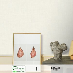 วอลเปเปอร์สีพื้น ครีม No.71029-2