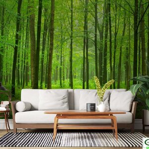 วอลเปเปอร์สั่งผลิตภภาพวิวธรรมชาติ FRE-A-4