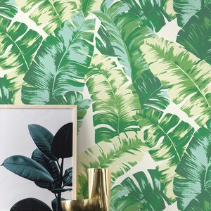 วอลเปเปอร์ติดผนังลายใบกล้วย สีเขียวขาว Tropical