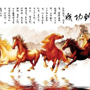 วอลเปเปอร์สั่งพิมพ์ลายม้ามงคล JHC-8