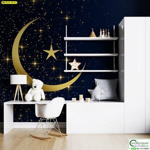 วอลเปเปอร์สั่งพิมพ์ลายอวกาศ PLA-10