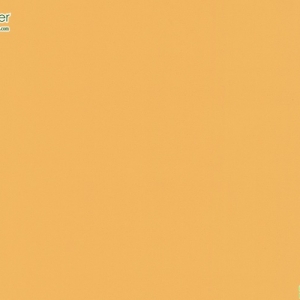 วอลเปเปอร์ติดผนังสีส้มอ่อน