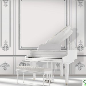 วอลเปเปอร์สั่งพิมพ์ลายกรุผนัง