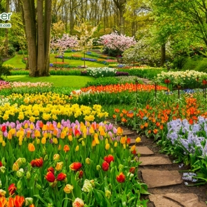 วอลเปเปอร์ภาพวิวสั่งพิมพ์ภาพสวนดอกไม้หลากสี