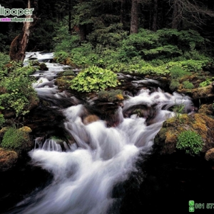 ภาพวิวธรรมชาติภาพน้ำตก