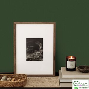 วอลเปเปอร์สีเขียว No.56170-5