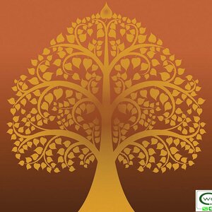 วอลเปเปอร์ลายต้นโพธิ์ THAI-634