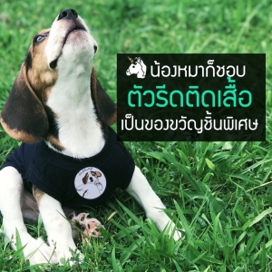ทำความรู้จักตัวรีดติดเสื้อ สำหรับคนเลี้ยงสัตว์
