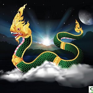 วอลเปเปอร์สั่งพิมพ์ลายพญานาค