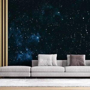 วอลเปเปอร์สั่งพิมพ์ลายอวกาศ PLA-1