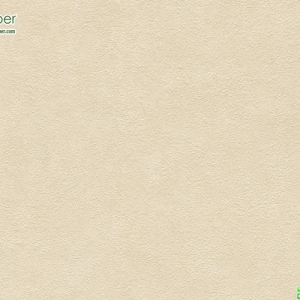 วอลเปเปอร์ลายปูนเปลือย ปูนขัดสีเนื้อ