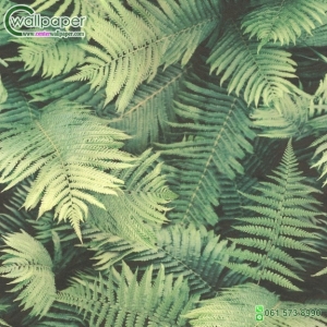 วอลเปเปอร์ลายใบไม้ สีเขียว