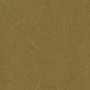 วอลเปเปอร์คอนโดสีเขียวNo.AW11-6