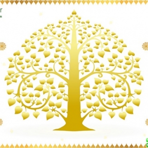 ต้นโพธิ์สีขาว ทอง