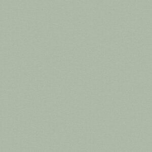 วอลเปเปอร์ติดผนังสีเขียว